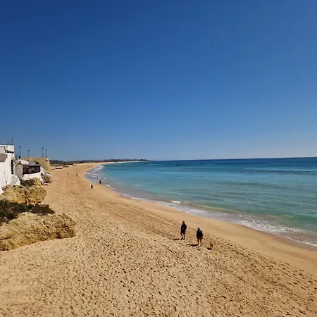 Elegant Pera Armação de Pêra